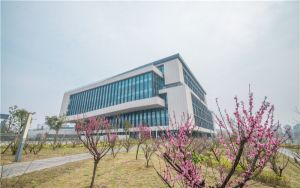 三国志孔明传攻略通关_《三国志孔明传》游戏全攻略