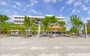 耳机没声音在手机上怎么设置_耳机没声音