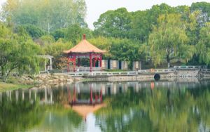 手机打国际长途怎么打_手机打国际长途