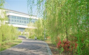 华为免费赠送了价值2700万美元的5G手机