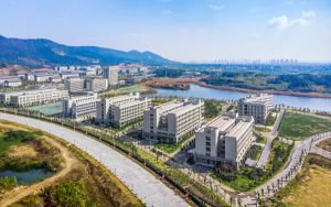 qq三国元神修行通关符_《qq西游》元神符游戏攻略