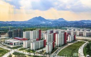 氟利昂价格多少每公斤_氟利昂价格