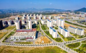 苹果空白符号_苹果验证码空白