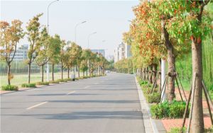 畅连通话什么意思_畅联通话怎么开启